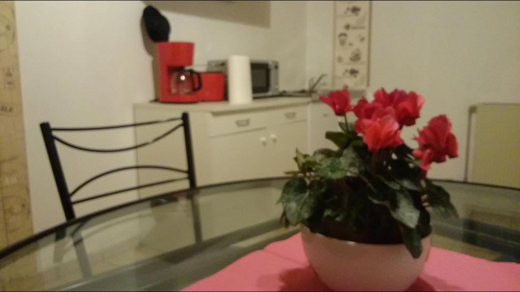 Ferienwohnung An Der Loreley Bornich Luaran gambar